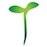 Microgreens Minivegetales