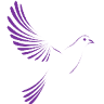 Stansty House Care Home - Minster Care Group