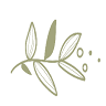 Miss Daisy's Home & Decor Co.