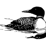 Loon Lodge on Mitchell Lake