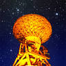 VERA Iriki Station - National Astronomical Observatory