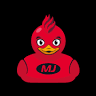 MJ Taylor Plumbing & Heating