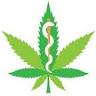 Moral Medical Justification: Medical Cannabis Qualification