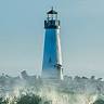 Minnesota Employers Insurance Services