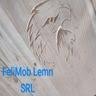 FeliMob Lemn SRL - Mobila la comanda Valcea