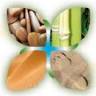 Massages Shiatsu d'Isabelle