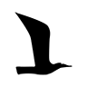 MÖVE
