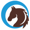 Moggill Pony Club