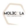 Molecola