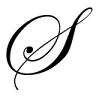 TOP MOLETT - ROŽŇAVA