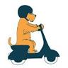 MolliStar PetFood Delivery
