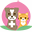 Momo Animal Clinic