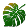 Monstera Studio