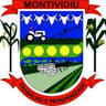 City of Montividiu