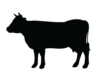 Montrose Feed & Supply