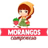 Morangos Camponesa