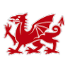 Morgan Jones Insurance Services