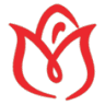 Morgan Roses Show Academy