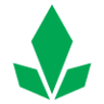 Moringa Imperial