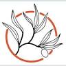 Moroccan Roots UK