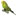 Morts Budgie World
