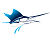 Fishing Tackle Australia