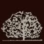 Mount-Smith Funeral Home
