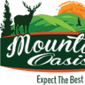 Mountain Oasis Cabin Rentals
