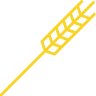 Mouss’bat