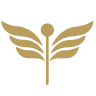 MPK Accounting & Consulting