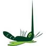 Mr. Mister Mosquito Control