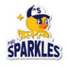 Mr. Sparkles Car Wash