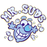 Mr. Suds Flex Car Wash of East Islip