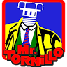 Mr. Tornillo Temixco