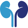 Mt Auburn Nephrology