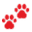 Muddy Paws Dog Walking, Boarding & Day Care