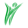MultiSaúde Farmaceutica