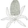 Mundaring Florist