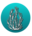 Mundo Coral