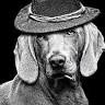 Mundo Pet - Clínica Veterinária
