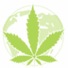 Mundo Verde Growshop