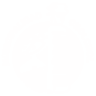 Municipality of Chol-Chol