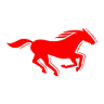 Mustang Jeans