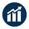MVS Finance Professional