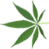 My Marijuana Card - Ohio