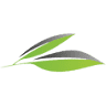 MySuperfoods Ltd.