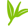 Nandana Tea Factory (Pvt) Ltd