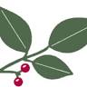 Nandina Properties I LLC