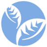 Nantucket Holistic Health