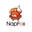 NAPFOX STORE
